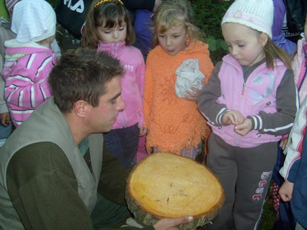 katica tanya erdei iskola